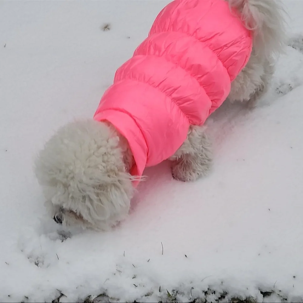 Brand new pink puffer dog jacket – Size Medium 💗🐶